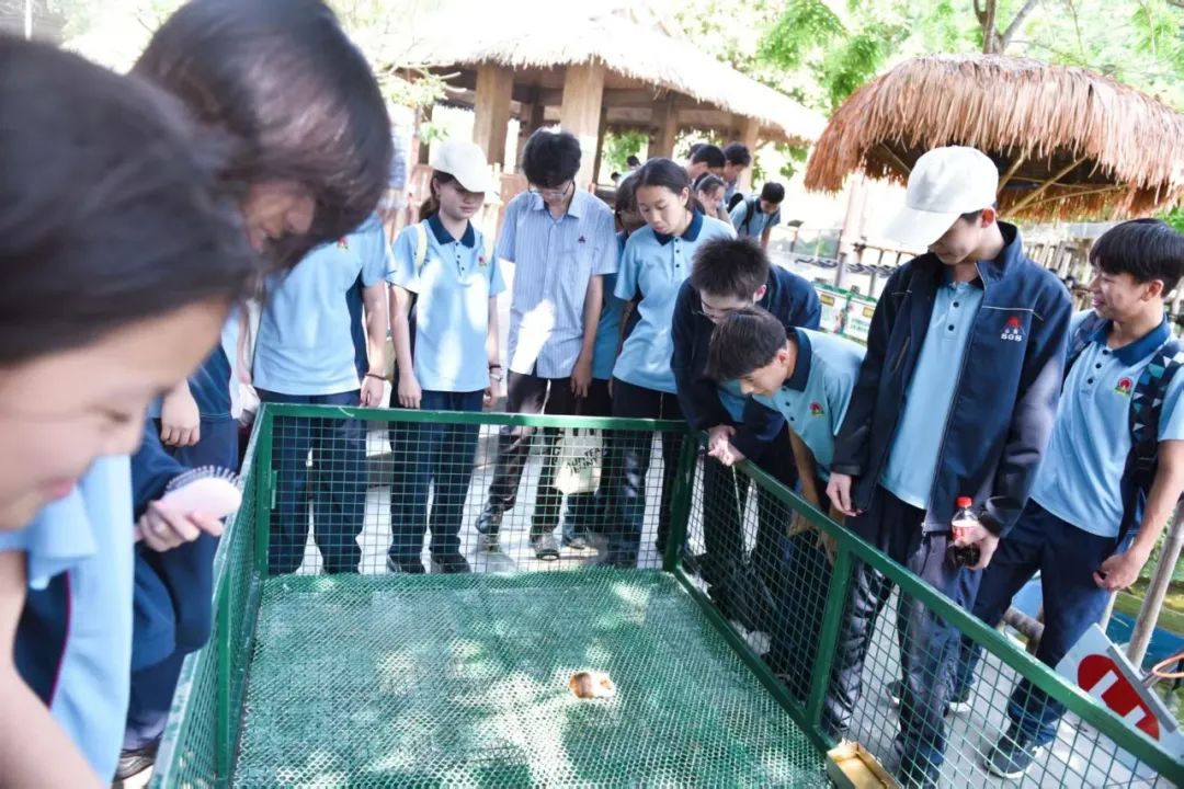 耕讀東坡韻，探海少年行——?？谑旋埲A區(qū)山高實驗學(xué)校七八年級文化傳承與科學(xué)探索研學(xué)之旅-圖片4