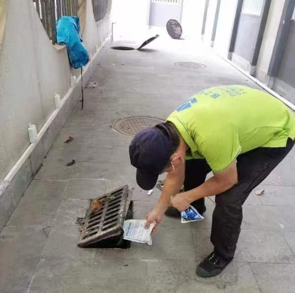 遠離登革熱，我們在行動！——?？谑猩礁哂變簣@開展預防登革熱愛國衛(wèi)生運動行動-圖片19