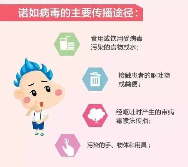 預(yù)防諾如病毒，筑牢校園防線——?？谑猩礁哂變簣@開展“預(yù)防諾如病毒”專項(xiàng)系列行動-圖片45