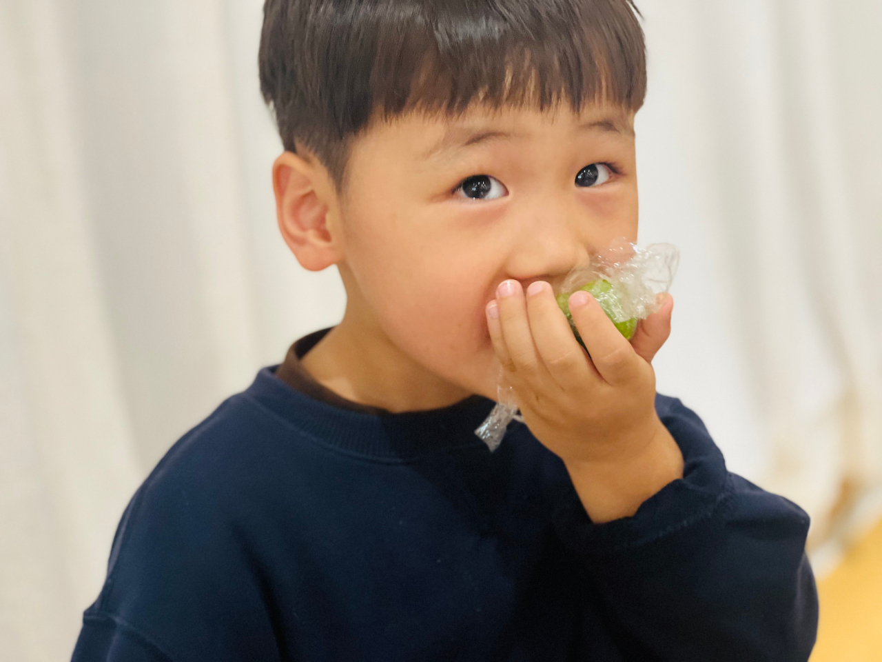 花開憶清明，傳承潤童心——?？谑猩礁哂變簣@2025年清明節(jié)主題活動-圖片79