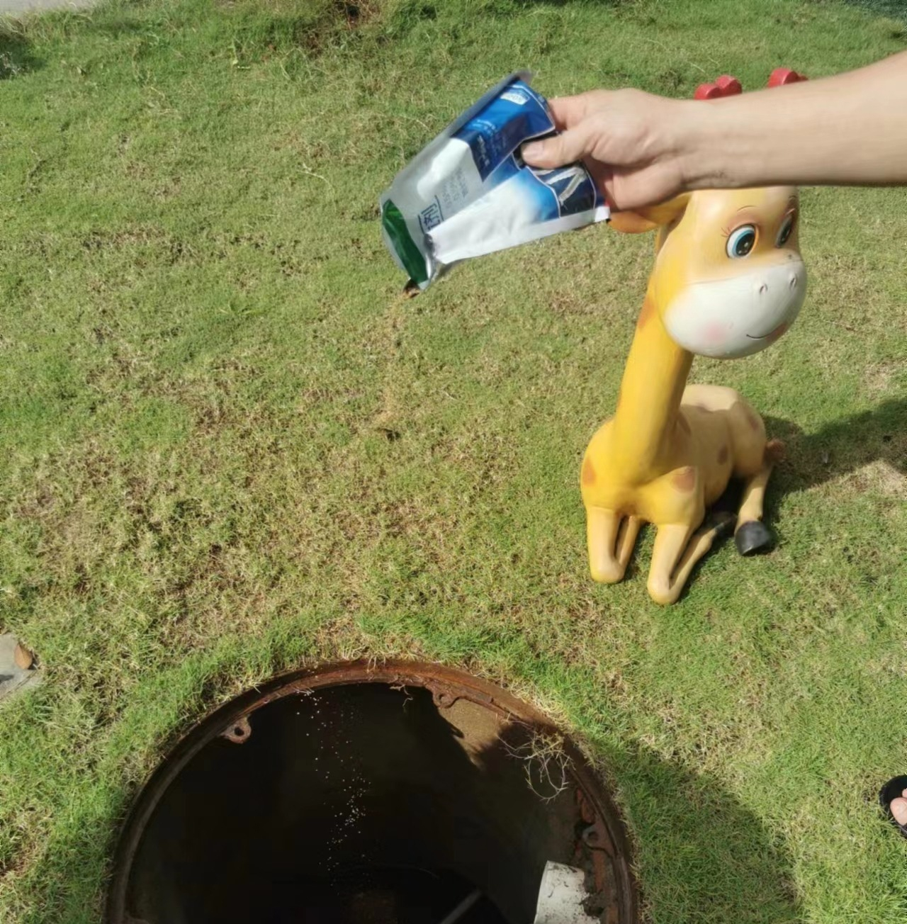 遠離登革熱，我們在行動！——海口市山高幼兒園開展預防登革熱愛國衛(wèi)生運動行動-圖片18