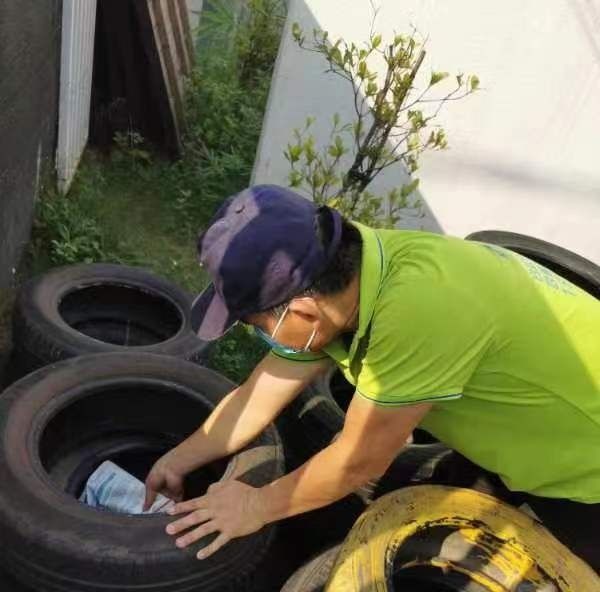 遠離登革熱，我們在行動！——?？谑猩礁哂變簣@開展預防登革熱愛國衛(wèi)生運動行動-圖片16