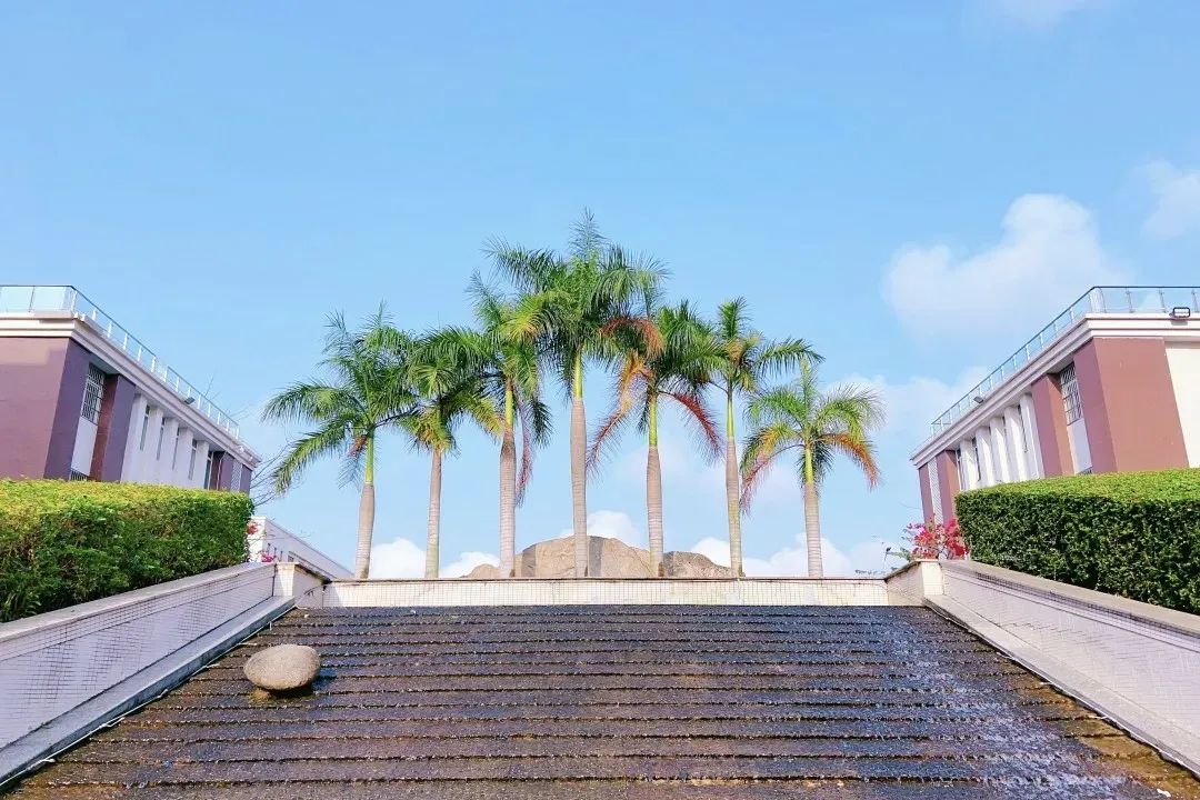 悅伴成長  家長學(xué)堂  |  ?？谏礁咧袑W(xué)優(yōu)秀家長育子心得分享（第51期）-圖片4