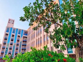 “算”出精彩，“數(shù)”你最棒——?？谏礁邔W校數(shù)學組口算大王比賽